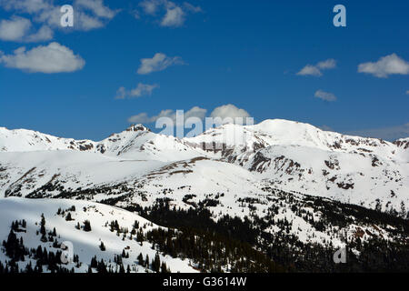 Schneebedeckte Berge mit Kiefern an einem klaren Tag Stockfoto