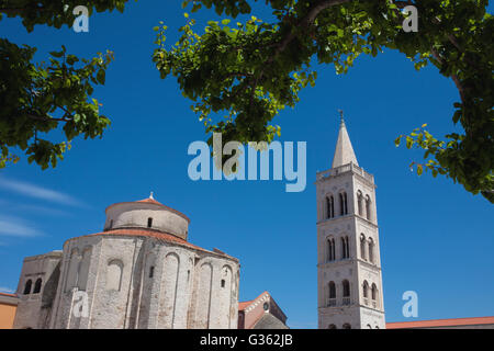 St. Donatus Kirche und der Kirchturm von St. Anastasia-Kathedrale auf dem Forum, Zadar, Kroatien Stockfoto