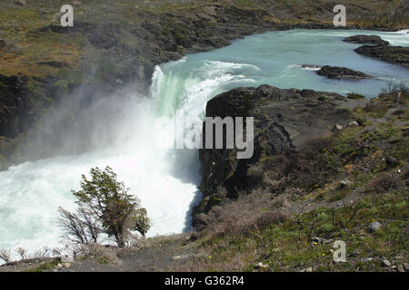 Salto Grande, großen Wasserfall, Torres del Paine Nationalpark, Chile Stockfoto