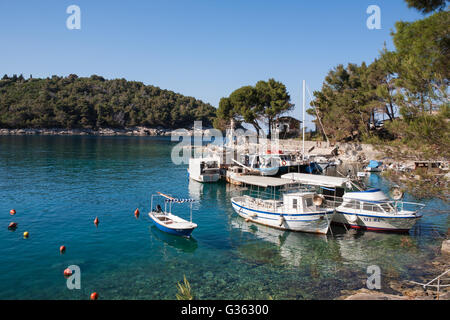 Uvala Baldarka, einem hübschen kleinen Bucht an der Ostküste von Mali Losinj, Kroatien Stockfoto