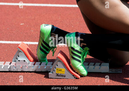 Masters-Leichtathletik UK. Athleten am Start der Damen 200m-Rennen. Stockfoto