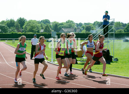 Masters-Leichtathletik UK. Beginn der Frauen 800m-Lauf. Stockfoto