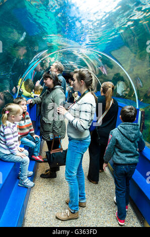 Touristen gehen durch den Tunnel, der durch das Key West Aquarium im Ozeanarium in Bournemouth geht. Stockfoto