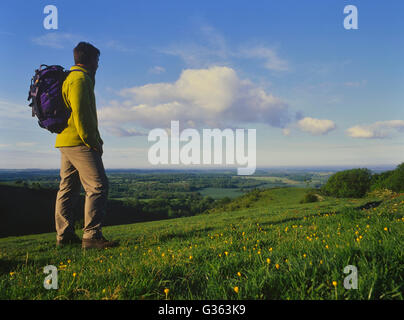 Rambler auf Wye ab. Kent. England. UK Stockfoto