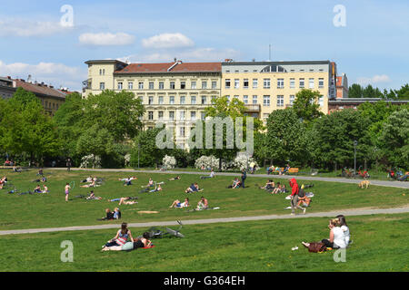 Deutschland, Berlin, Kreuzberg, Görlitzer Park / Görlitzer Park Stockfoto