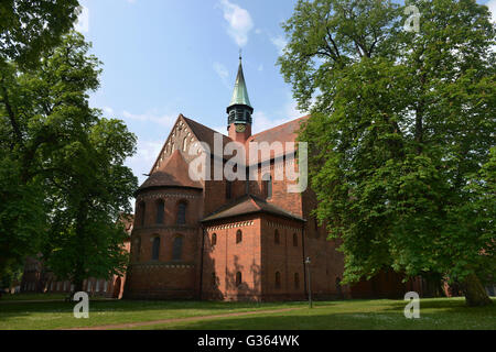 Kirche von Str. Marys, Kloster Lehnin, Brandenburg, Deutschland Stockfoto