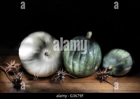 Stillleben mit drei Kürbisse in halb dunklen Umgebung am rustikalen Holztisch mit stacheligen ausgetrocknet, Unkraut Stockfoto