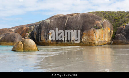 Elephant Rocks im William Bay National Park, in der Nähe der dänischen Stadt in Western Australia. Stockfoto