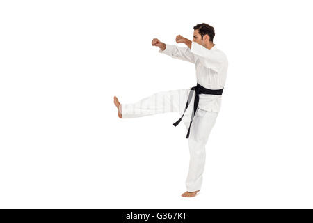 Kämpfer darstellende Karate Haltung Stockfoto