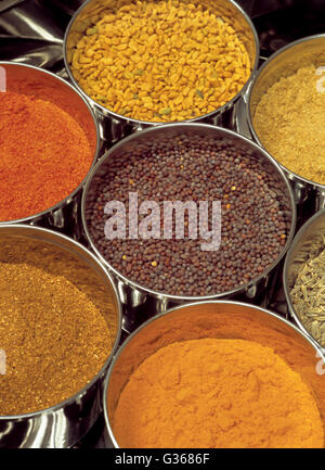 Foto von indische Gewürze - Masala Box mit Bockshornklee, Curry, Garam, schwarze Senfsamen, Chili, Kümmel. Stockfoto