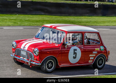 1964 Austin Mini Cooper S mit Fahrer Joeg Weidinger, St Mary Trophy Rennen 2015 Goodwood Revival, Sussex, UK. Stockfoto