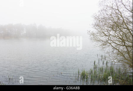 Bowden Loch, Eildon Hills, Scottish Borders Stockfoto