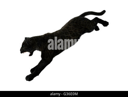 3D-Rendering einer Raubkatze schwarze Panther isoliert auf weißem Hintergrund Stockfoto