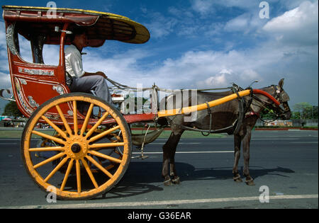 Kalesa, Man With Horse & Cart, Manila, Philippinen Stockfoto