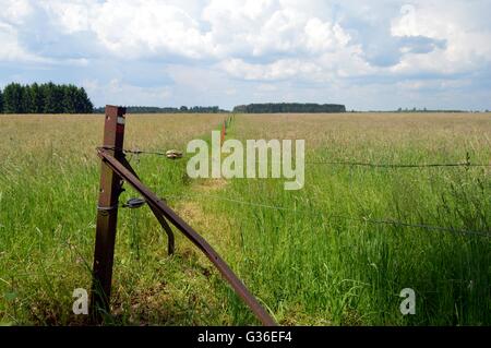 Winkel des Zaunes in Eisen Streikposten und Stacheldraht. Stockfoto