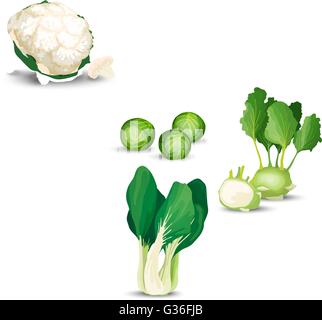 Gemüse-set mit Kohl Stock Vektor