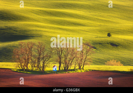 Bunte Landschaft mit berühmten kleinen Kapelle, Bäume auf der grünen Wiese bei Sonnenuntergang im Frühling. in Südmähren, Tschechische Republik Stockfoto