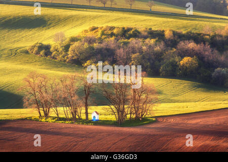 Bunte Landschaft mit berühmten kleinen Kapelle, Bäume auf der grünen Wiese bei Sonnenuntergang im Frühling. in Südmähren, Tschechische Republik Stockfoto