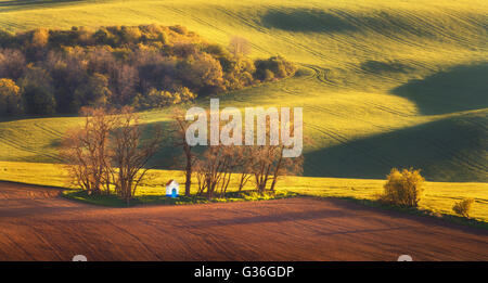 Bunte Landschaft mit berühmten kleinen Kapelle, Bäume auf der grünen Wiese bei Sonnenuntergang im Frühling. in Südmähren, Tschechische Republik Stockfoto