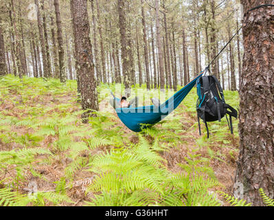 Ältere männliche Wanderer zum Entspannen in der Hängematte im Pinienwald. Einsatzmöglichkeiten: Reifen Backpacker / / Abenteuer/Altersvorsorge Stockfoto