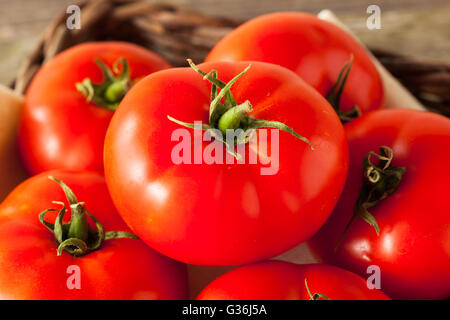 Rohe Bio rote Beefsteak Tomaten bereit zum Kochen Stockfoto