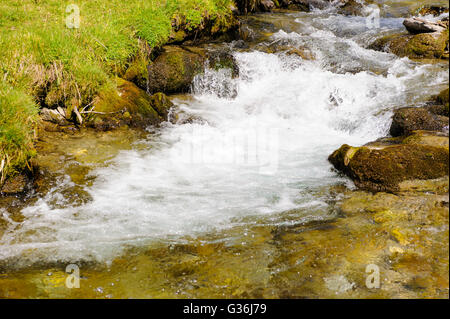 kleiner Bach mit klarem Wasser und Kaskade in Alpen Stockfoto