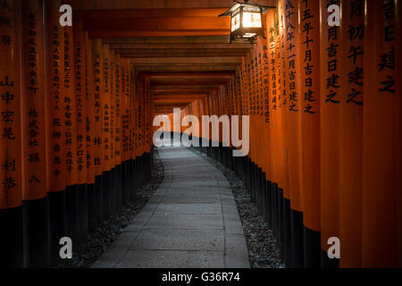 Ein Blick auf dem endlosen Weg der Torii-Tore bei der Fushimi-Inari-Schrein in Kyōto, Japan. Stockfoto