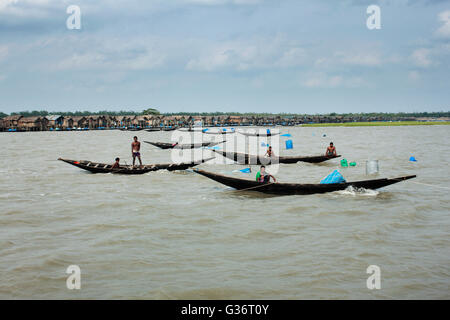 Angelboote/Fischerboote richten Sie ihre Garnelen Larven (BRJ) Netze in Shibsha Fluss, Bangladesch. Stockfoto