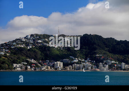 Oriental Bay angesehen von der Interislander Fähre von Picton nach Wellington Stockfoto