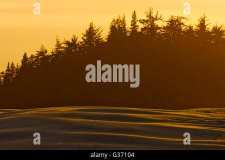 Oregon Dunes National Recreation area Stockfoto