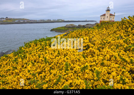 Leuchtturm an der Küste von Oregon Stockfoto