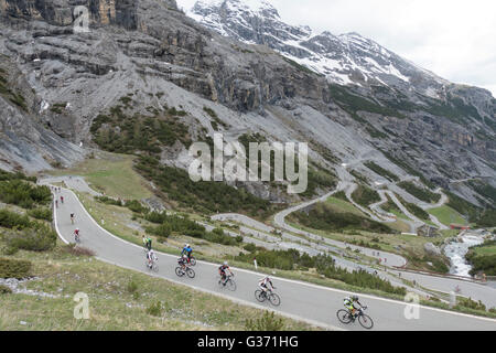 Santini SMS Gran Fondo, Italien, Trentino Alto Adige, Vinschgau, Stelvio Nationalpark Stilfserjoch Stockfoto