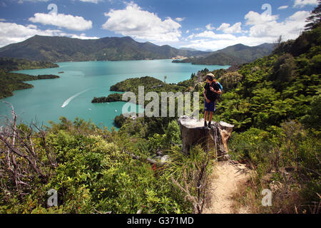 Bild von Tim Cuff - Jasmin auf der Suche in den Kenepuru Sound aus den Queen Charlotte Track, Marlborough, Neuseeland Stockfoto