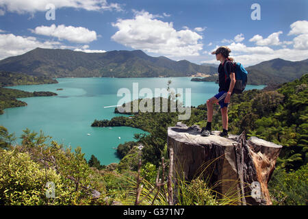 Bild von Tim Cuff - Jasmin auf der Suche in den Kenepuru Sound aus den Queen Charlotte Track, Marlborough, Neuseeland Stockfoto