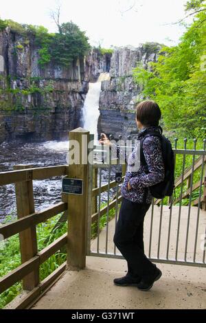 Frau betrachten hohe Kraft Wasserfall, River Tees, Wald-in-Teesdale, Durham Dales, Middleton-in-Teesdale, County Durham, Großbritannien. Stockfoto