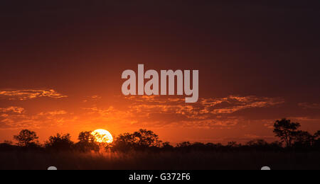 Sonnenuntergang in der Nähe von Nehimba in Hwange Nationalpark Simbabwe Stockfoto