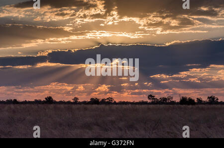 Sonnenuntergang in der Nähe von Nehimba sickert in Hwange National Park Stockfoto