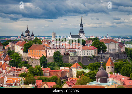 Tallinn. Luftbild der Altstadt Tallinn in Estland. Stockfoto