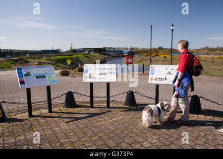 Wanderer mit Hund blickte Fluß Annan von dem, was einst einen geschäftigen Hafen von Annan. Blick auf Solway Firth Stockfoto