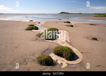 Solway Firth Blick auf das Barnkirk Punkt vom Rand des The Merse in der Nähe von Annan Stockfoto