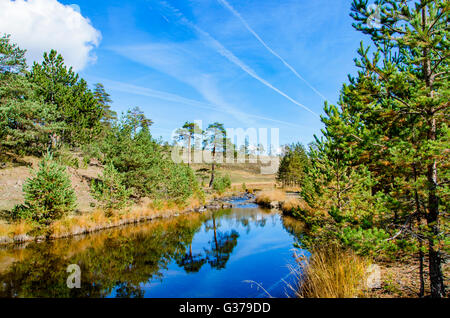 Zeigen Sie am Flüsschen am Zlatibor Berg in Serbien an Stockfoto
