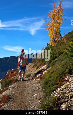 WA12718-00... WASHINGTON - Wanderer auf dem Pacific Crest Trail nördlich Halsabschneider-Passes in den North-Cascades. Stockfoto