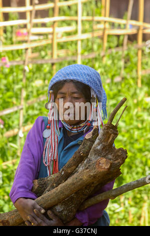 Frauen von der AKHA Stamm Verschleiß aufwändigen Kopfschmuck hergestellt aus Perlen, Silber Münzen und hand ragte Baumwolle, Burma, Kengtung, Kyaingt Stockfoto