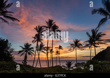 Ein buntes Sonnenaufgang am Makapu'u Beach Park auf der Insel Oahu. Stockfoto