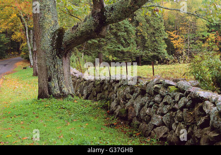 Steinmauer entlang einer Landstraße. in der Nähe von Woodstock, Vermont, New England, Vereinigte Staaten von Amerika Stockfoto