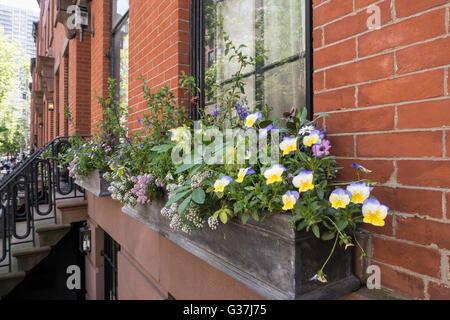 Brooklyn Heights Nachbarschaft, Brooklyn, NYC, USA Stockfoto