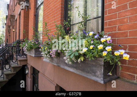 Brooklyn Heights Nachbarschaft, Brooklyn, NYC, USA Stockfoto