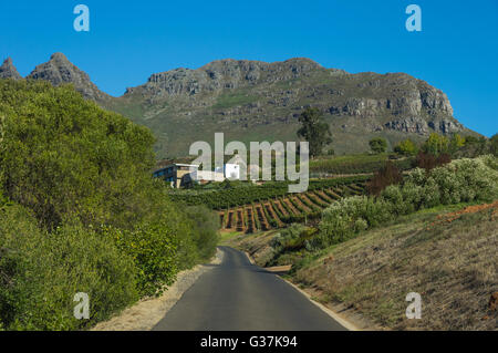 Die Cape Winelands-Region ist der erste Wein produzierenden Bereich von Südafrika Stockfoto