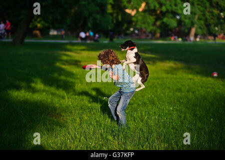 Der junge trainiert einen Hund. Im Sommergarten der jungen von 8-9 Jahre spielt mit einem Hund. In einer Hand den jungen einen Datenträger. Hoch sprang Hund trie Stockfoto