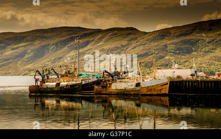 Angelboote/Fischerboote im Hafen von Ullapool, Wester Ross, Schottland Stockfoto